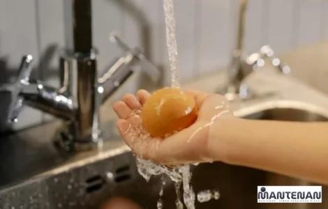 alasan jangan cuci telur