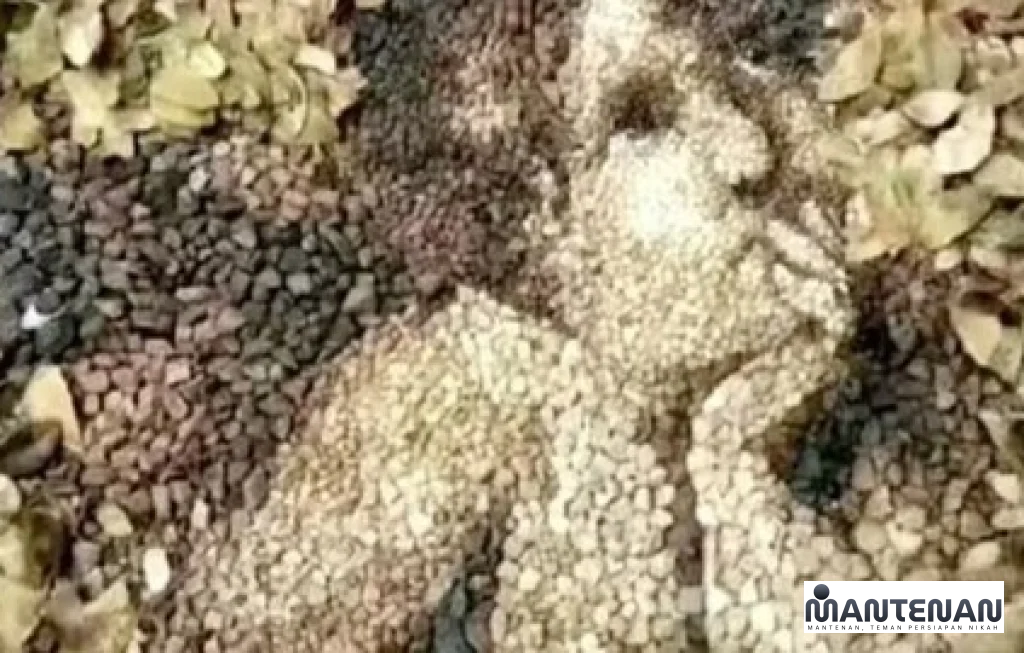 tes kepribadian bahagia stres