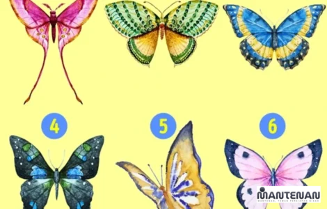 tes kepribadian kupu-kupu