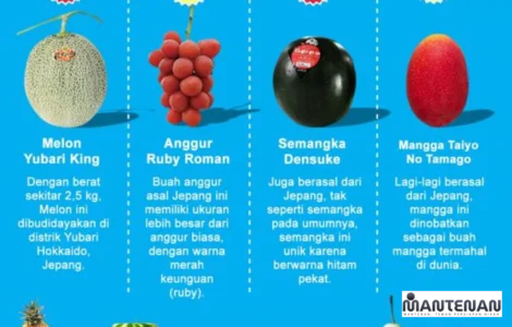 Buah termahal di dunia